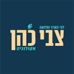 צבי כהן נדל"ן
